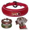 Cães – Colares e correias para cães