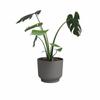 ARTEVASI Pot de fleur - Miami - 30 cm - 13 L - Anthracite - Dimensions: 29.7x29.7x25.1 cm