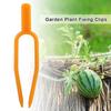 100 Stück Gartenpflanzen Befestigungsclips Wiederverwendbare Ausläufer Melonenreben Sicherungsfixierwerkzeug