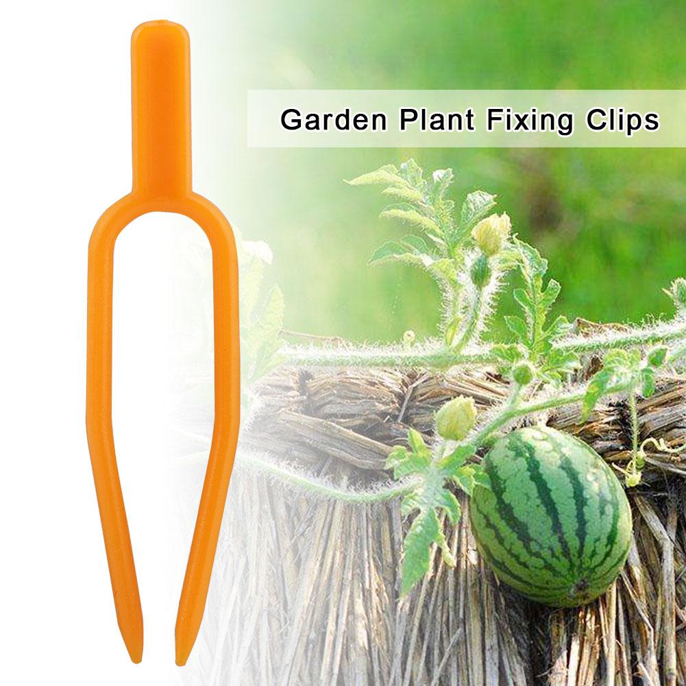 100Pcs Garden Plant Fixing Clips Resusable Stolon Melon Vines Securing Fixer Tool