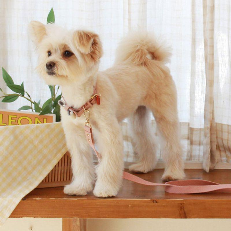 MAISON DE MIU Laufbegleiter Leder&Gurtband Leine_Rosenrot