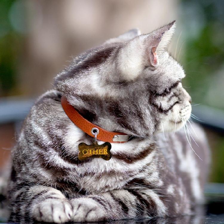 Clear 3-link Dog Bone Label Keychain Silicone Mold for Valentines Gift Craft Handmade Key Chain Accessories Mould