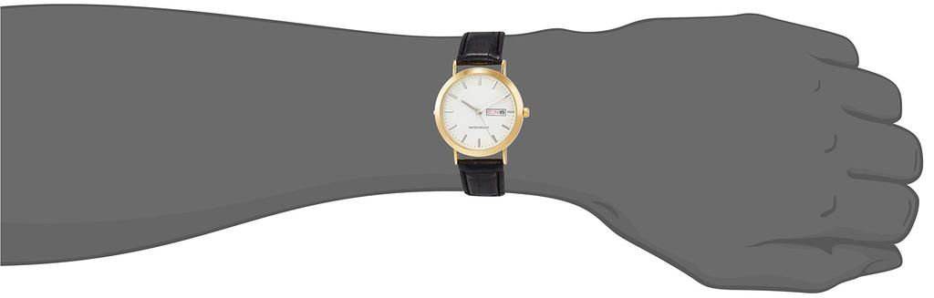 [Arias] Analog Amalfidia Watch with Day of the Week and Date Waterproof Leather Strap White Dial A44M01 Men's Black