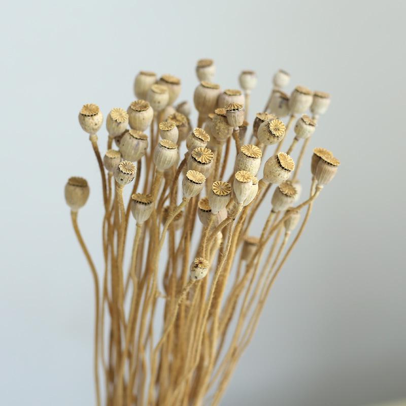 Yunnan Dried & Immortal Flowers Bouquet: Baby's Breath, Roses, Forget-Me-Nots for Home & Homestay Decor