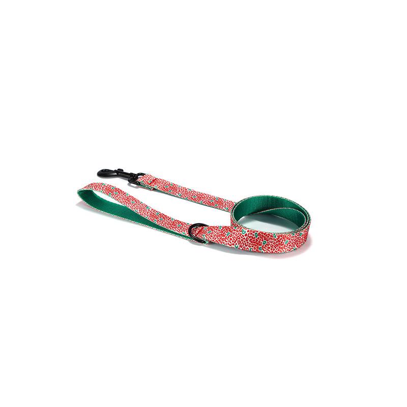 Plattco Red Leopard Print Nylon Dog Collar and Leash Set PDL332