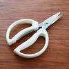White Modern Stainless Steel Kitchen Scissors
