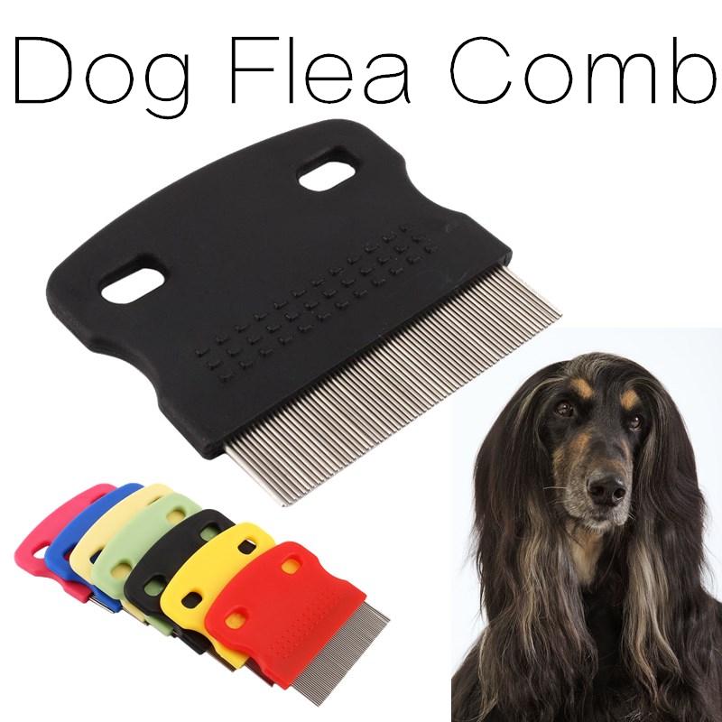 e comb dog grooming