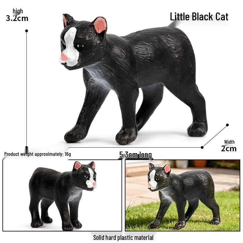 Nordic Decor: Realistic Animal Heart & Black Cat Model for Science Education