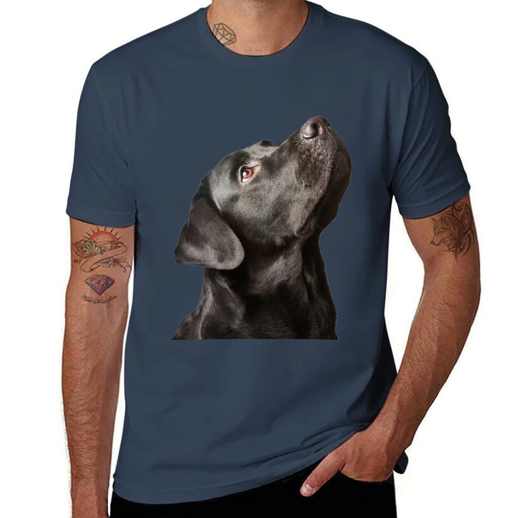 WE BUILD LABRADOR TShirt Regular Fit Plain Tee Shirt