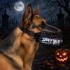 Hell Hound Monster Mask Scary Natural Latex Dog Costume Muzzle Pet Lifelike Teeth Mask for Small Medium and Large Dog