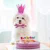 Pink Polyester Pet Birthday Costume with Skirt and Crown Hat