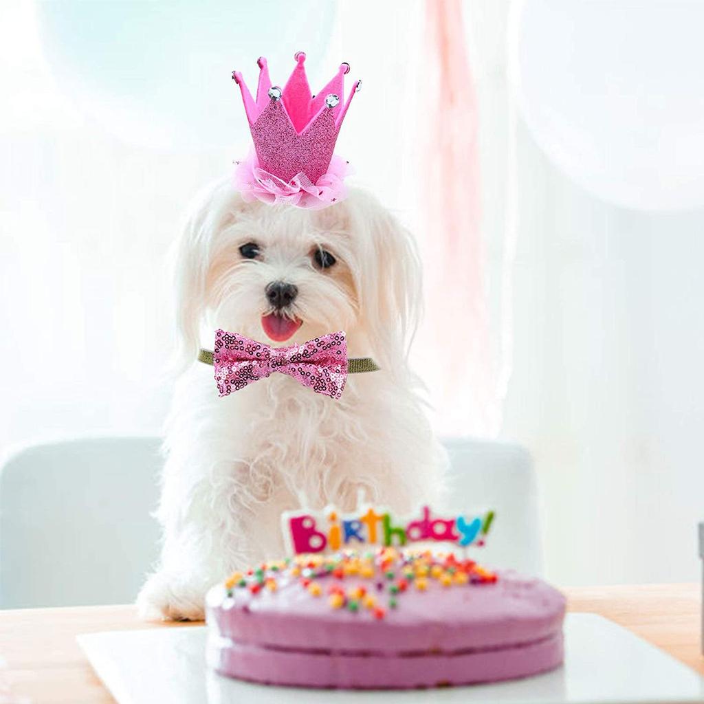 Pink Polyester Pet Birthday Costume with Skirt and Crown Hat