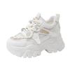 Fashion Breathable Mesh Chunky Sneakers for Women 2025 Spring Fashion White Platform Sports Shoes Woman Comfort Thick Sole Walking Shoes
