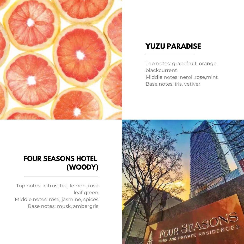 HOMLLY Khanid Collection Aroma Scented Reed Diffuser (140ml) (X2 PCS)