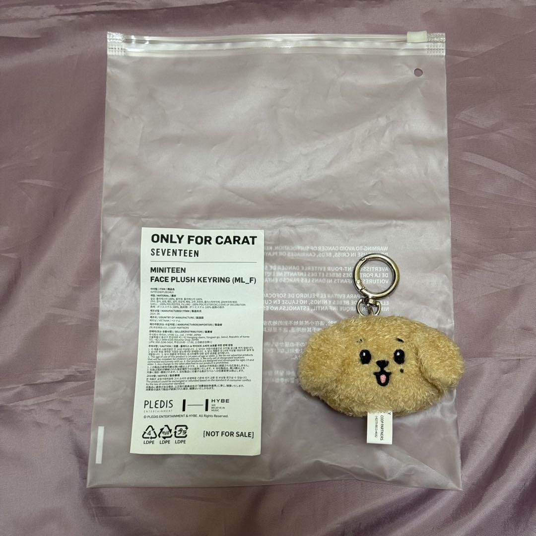 

[USED] SEVENTEEN Sanok Keyring DK