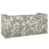 Vidaxl Gabion Waste Bin Enclosure, Steel, 254X100X110 Cm