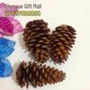 2-14cm Pine Cone Christmas Decoration Pendants - Dried Fruit and Photography Props Accessories