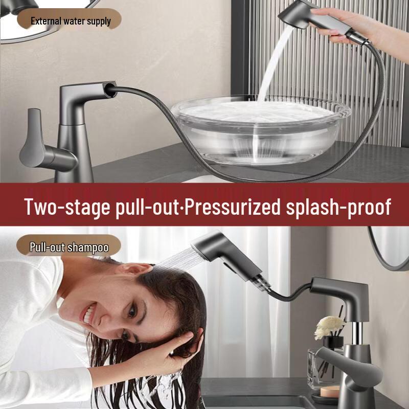 TLXT Pull-Out Basin Faucet