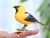 Interactive Singing Knight Bird: Voice-Controlled, Chirping, and Moving Toy for Kids