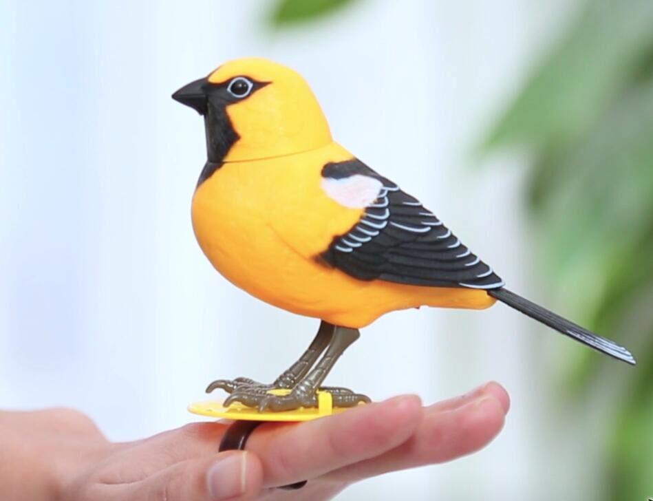 Interactive Singing Knight Bird: Voice-Controlled, Chirping, and Moving Toy for Kids