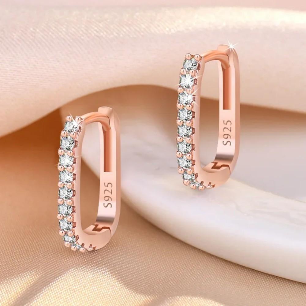 925 Silver CZ Zircon Earrings For Women Fashion Luxury Geometric Double Circle Drops Earring Party Fine Jewelry