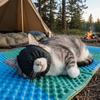 Adjustable Pet Eye Mask Light Blocking Face Mask Pet Anxiety Mask Cat Shade Hood  Manicure