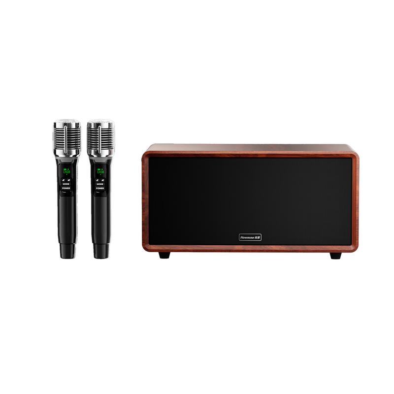 Newmine Portable Bluetooth Karaoke Speaker