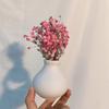 Party Small Photo Backdrop Natural Pressed Dried Flowers Dry Flower Babysbreath Bouquet Gypsophila