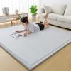 Neue 2025 Eisweinmatte Tatami Schlafmatte Weiche Matte für Schlafzimmer Heimgebrauch Wendbare Kühlende Bettwäsche Bequeme Matratzenauflage
