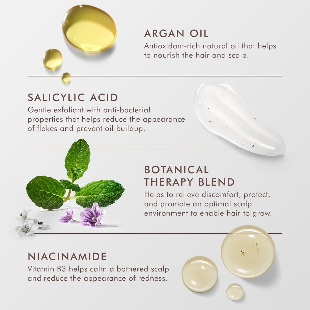 MOROCCANOIL Scalp Balancing Shampoo (250ml) Scalp Care (Lavender, Tea Tree, Bergamot) with Argan Oil