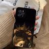 Renaissance art Painting Phone Case For iPhone 15 14 11 12 13 Mini Pro XS Max Cover 6 7 8 Plus X XR SE 2020 Funda Shell