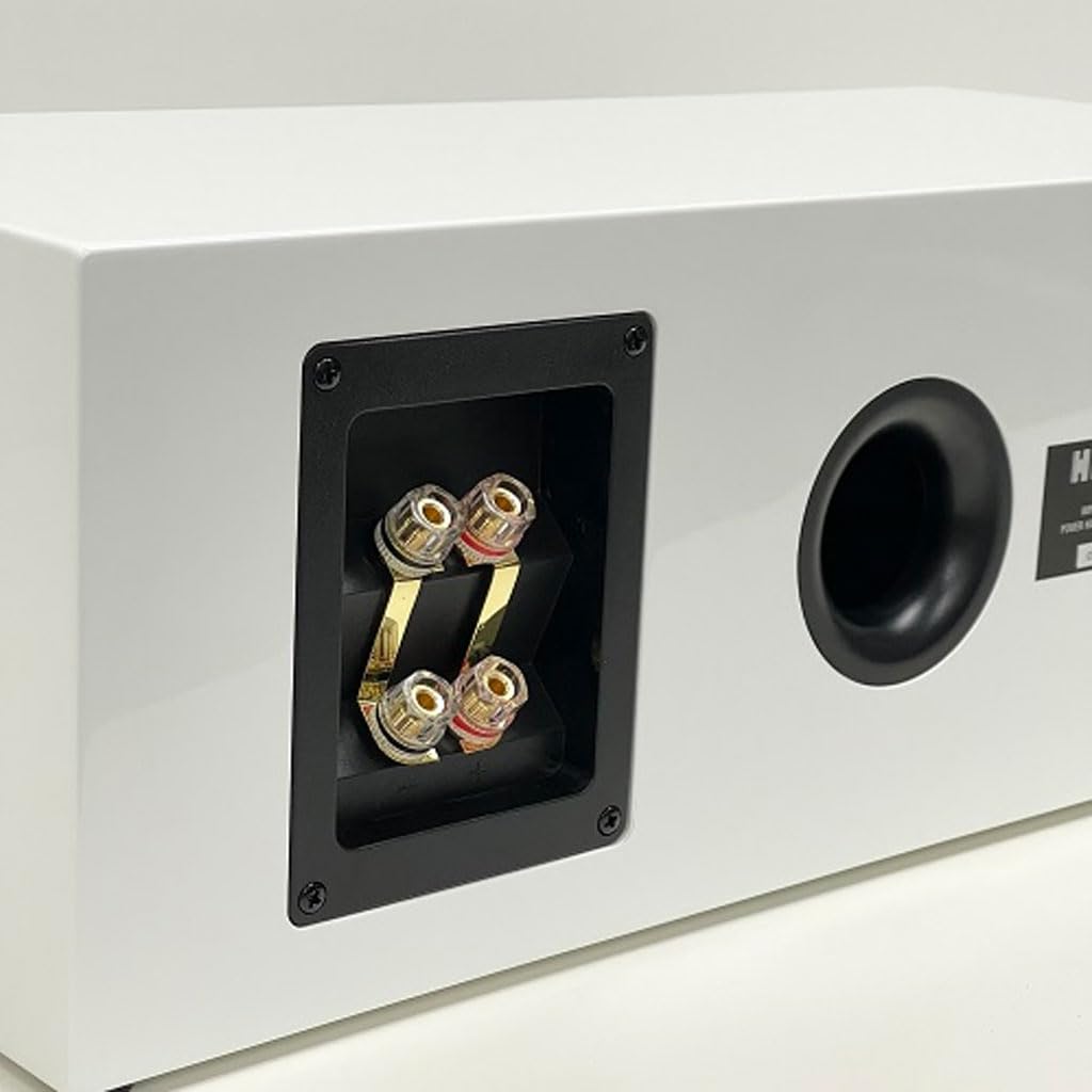 Heimkino Fabrik Center-Lautsprecher 1 Einheit Heimkino Fabrik Originalprodukt betrieben von Abac HF-SP525C (Weiß)