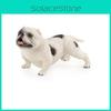 Modelo Animal Pitbull American Bully Figura de PVC Colecionável Display Para Entusiastas de Cães