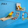 Niet-reflecterende Vogelspiegel 1 Set Kooi Papegaai Speeltjes, Houten Zitstok Platform met Spiegel, Ladder, Kleurrijk Acryl Veiligheid voor Vogels Kralen Belletjes Schommel,