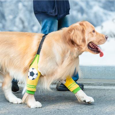 Leggings per cani di taglia media e grande autunno e inverno golden retriever ginocchiere per cani copertura protettiva per articolazioni per animali domestici gomitiere vestiti per animali domestici