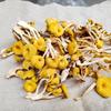 BANMUCHUAN 10-Assorted Edible Fungi & Mountain Delicacies Gift Box, 1500g