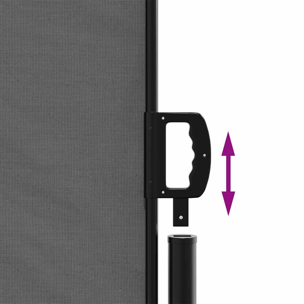 Retractable Side Awning Anthracite 220 x 300 cm