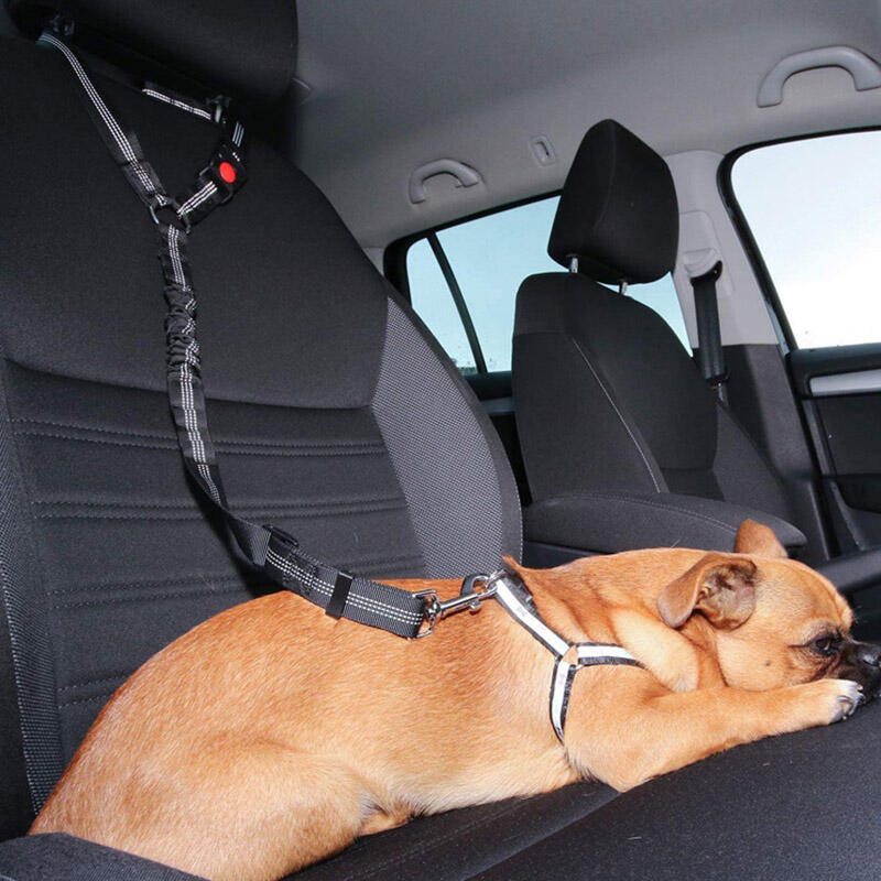 Dog Seat Belt Headrest Car Leash DD-12599