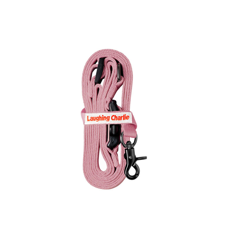 Hands-free leash for walking