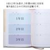 Apica Horizontal A5 No Date D307 3-Year Diary, Layout, Size, Display,