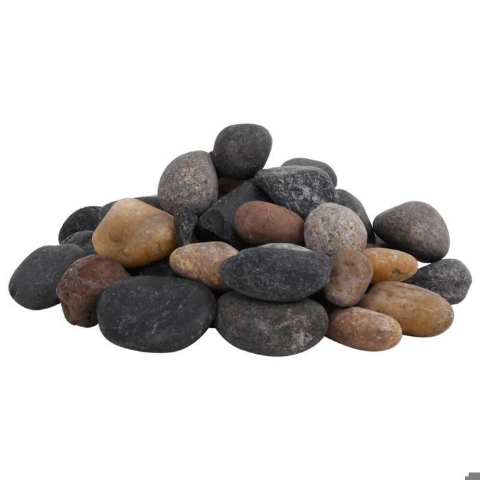 Galet - vidaXL - Galets polis - 5-8 cm - Couleur mixte - 25 kg