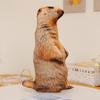 3D Animal Plush Cushion - Panda, Koala, Tiger, and Lion - Kids Gift & Home Decor.