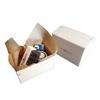 [MARIACREMA] Maria Crema Shoe Care Set In Craft Box, Size S, Beechwood and Horsehair Brush