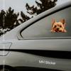 1Pc Yorkshire Terrier Dog Stickers, Cute Puppy Matte Self-Adhesive Durable Vinyl Decals for Car Laptop Window Multipurpose Decor