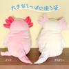 Shinada Global Mochi Series Mochi Upa Pink (Large) 22 x 22 x 30cm Plush Axolotl Animal MOUP-0350P