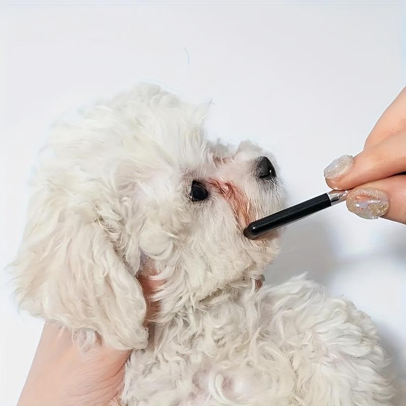Pet Eye Grooming Kit: Stainless Steel Comb & Detail Brush for Dogs, Cats - Tear Stain Removal & Hair Trimming