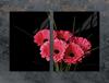 SZKLANA PŁYTA OCHRONNA DESKA 75x52 GERBERA