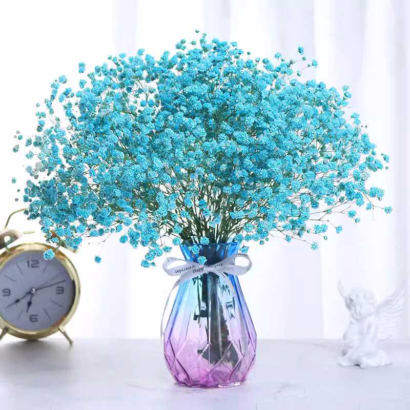 Baby's Breath Dried Flower Bouquet - Real Decorative Flowers for Living Room and Gift Packaging