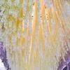 Yousheng Artificial Wisteria Flower Garland Faux Wisteria Hanging Flower Vine for Home Wedding Arch Wall Garden Decoration