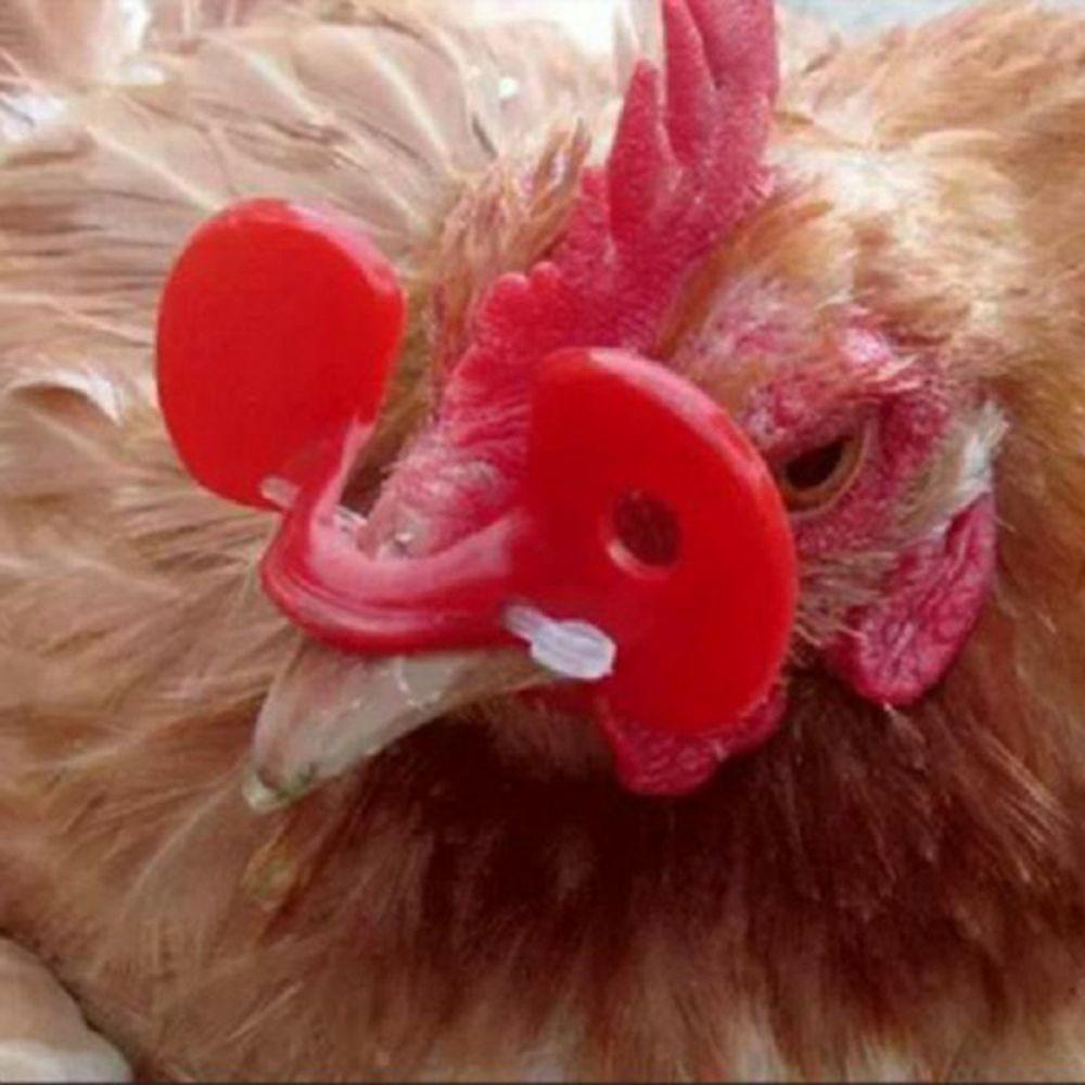 Reusable Non-shedding Anti-pecking Pheasant Chicken Chicken Glasses Poultry Supplies Pigeon Glasses